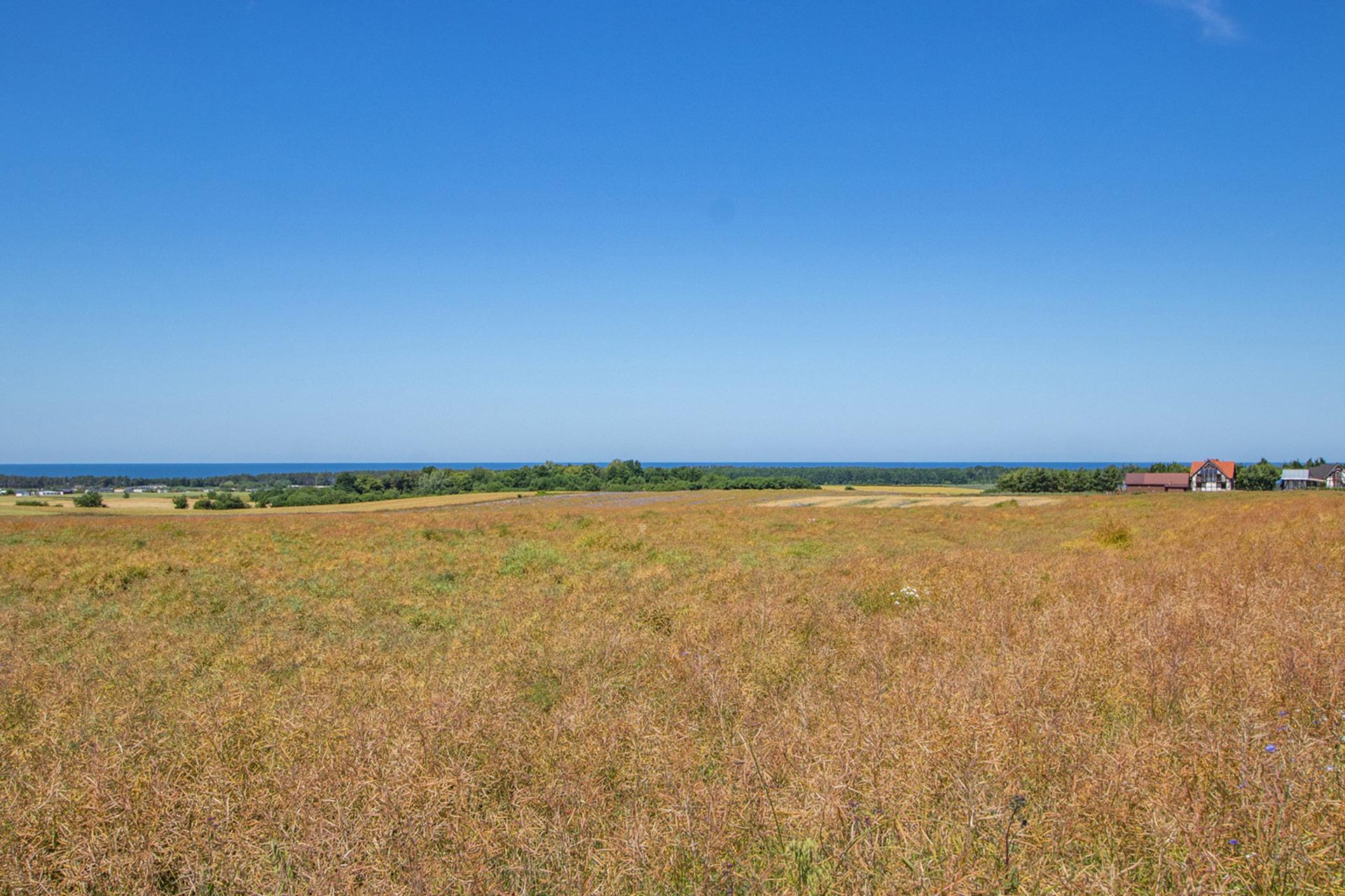 020 0 12263781 2 36 - Lista ofert