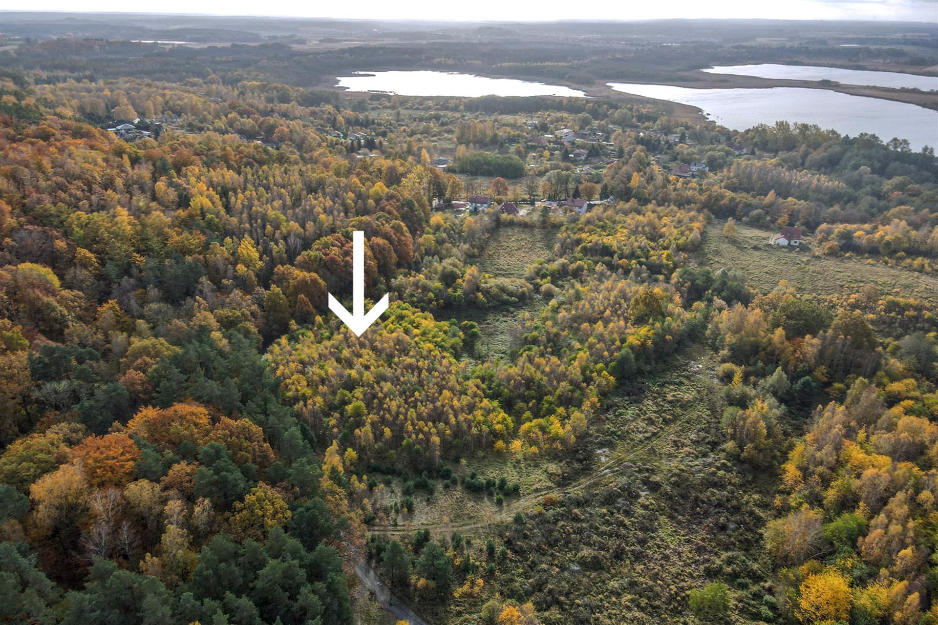 020 0 12340606 0 4 - Lista ofert