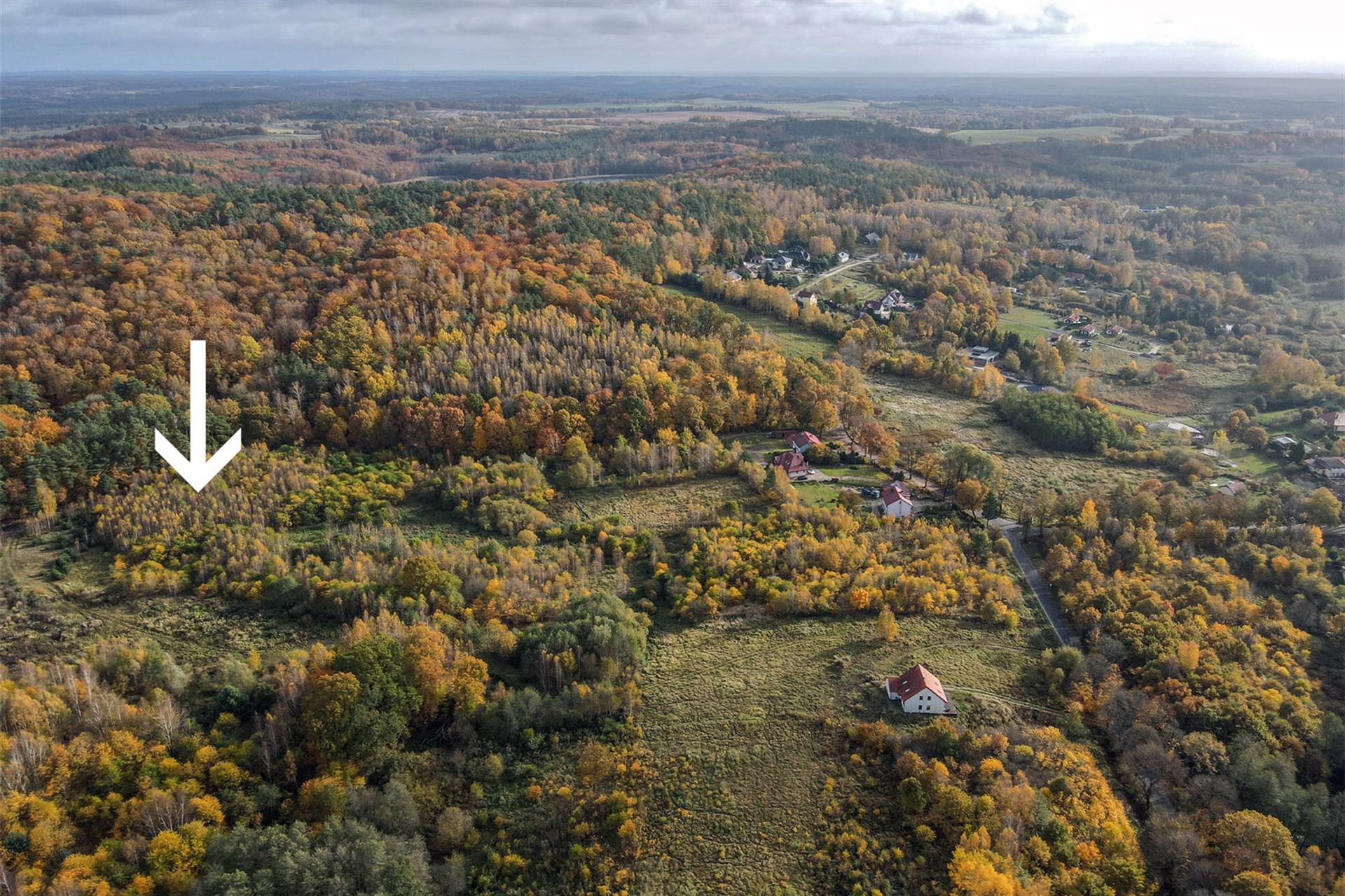 020 0 12340607 0 4 - Lista ofert