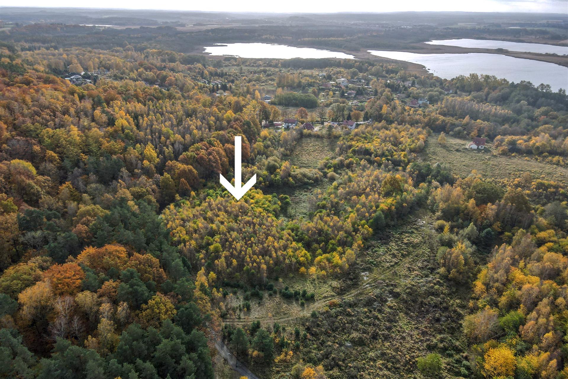 020 0 12340608 1 7 - Lista ofert