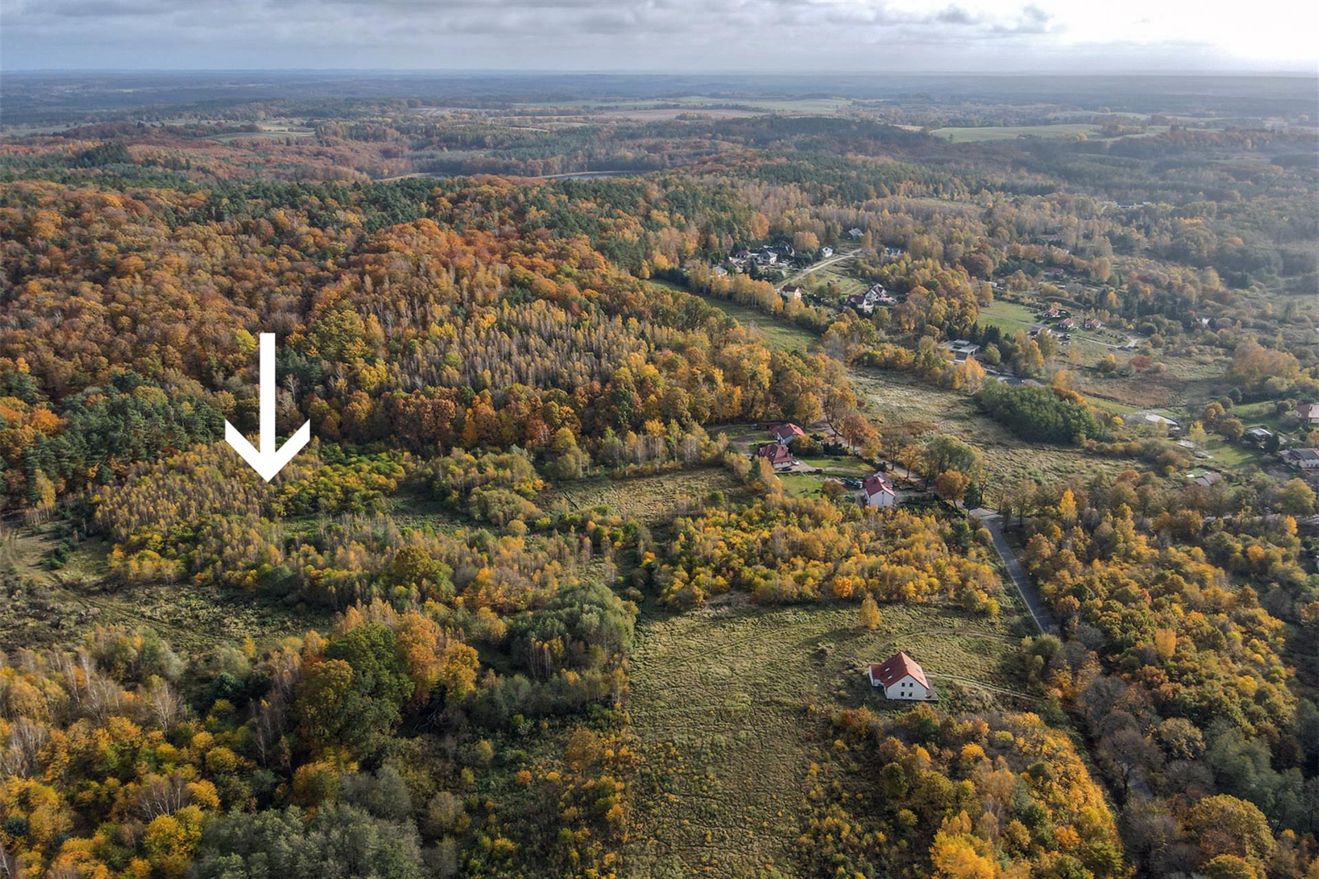 020 0 12340611 0 4 - Lista ofert