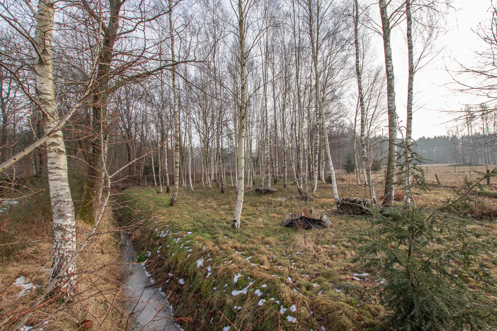 020 0 12380339 0 14 - Lista ofert