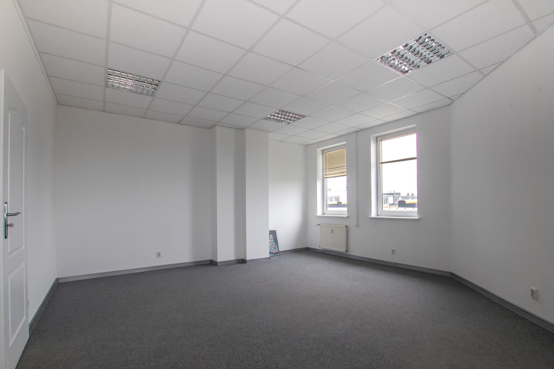 020 0 12388608 0 7 - Strona gł&oacute;wna