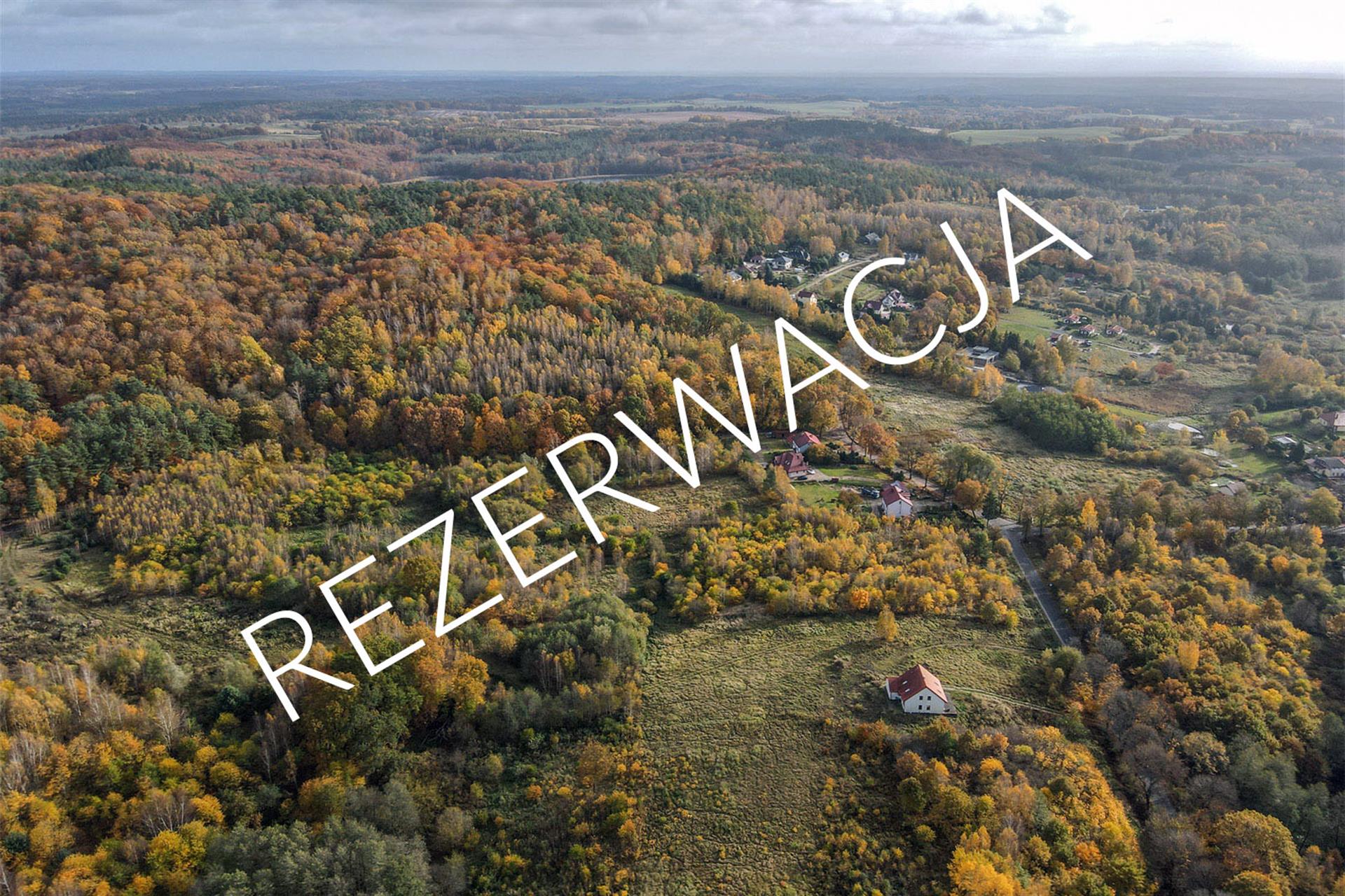 020 0 12391613 1 7 - Lista ofert