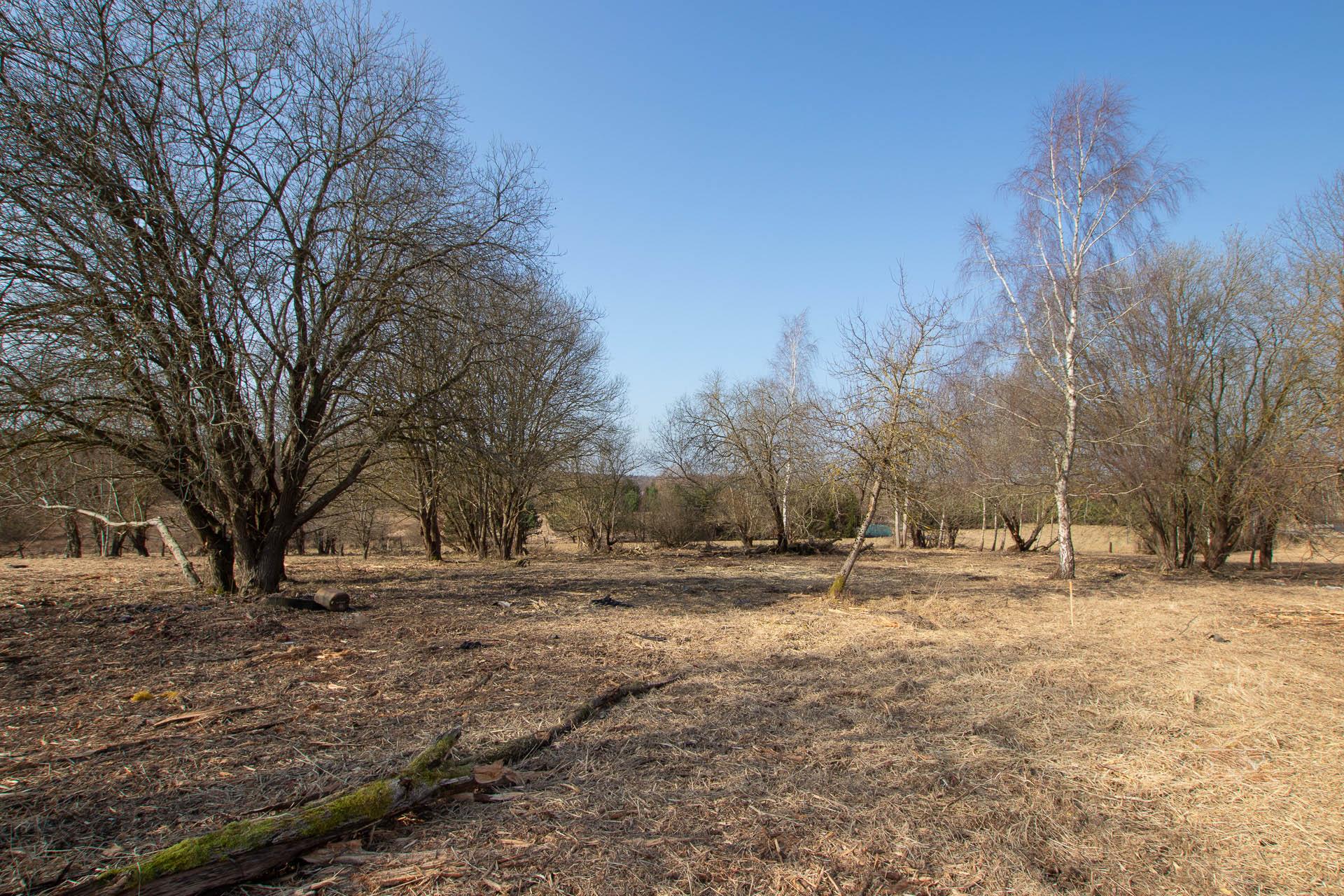 020 0 12410614 1 21 - Lista ofert