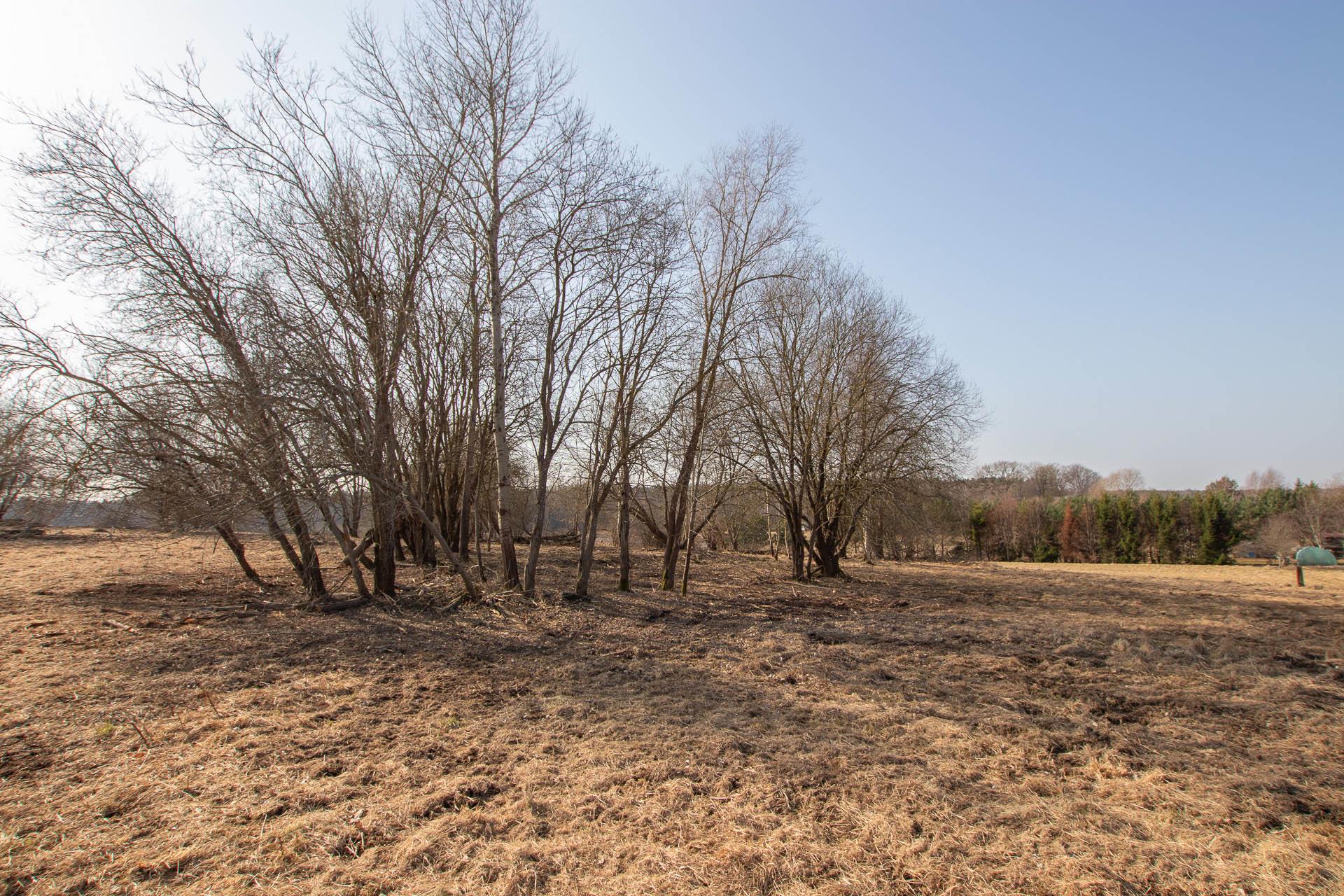 020 0 12410615 1 21 - Lista ofert