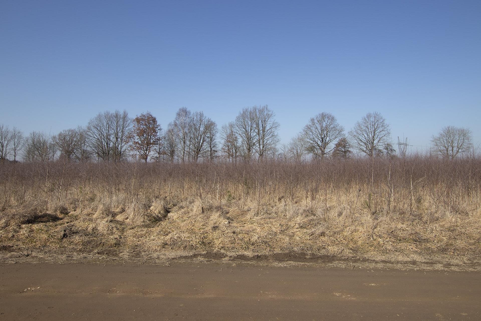 020 0 12422445 0 6 - Strona gł&oacute;wna