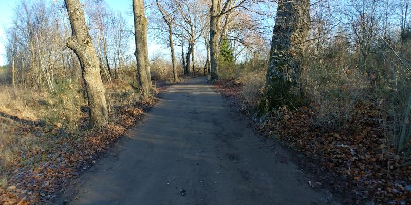 070 0 10079641 10 51 - Lista ofert