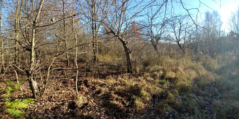 070 0 10079643 10 51 - Lista ofert