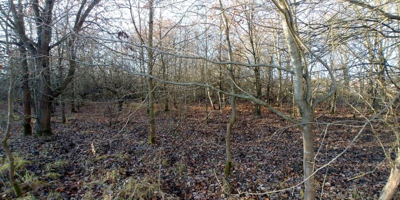 070 0 10079645 10 51 - Lista ofert