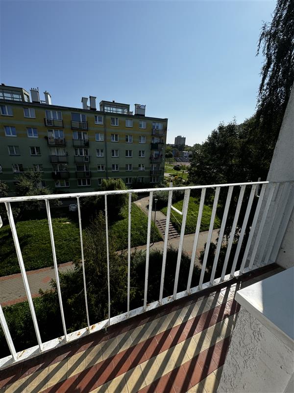 080 0 12333808 0 319 - Lista ofert