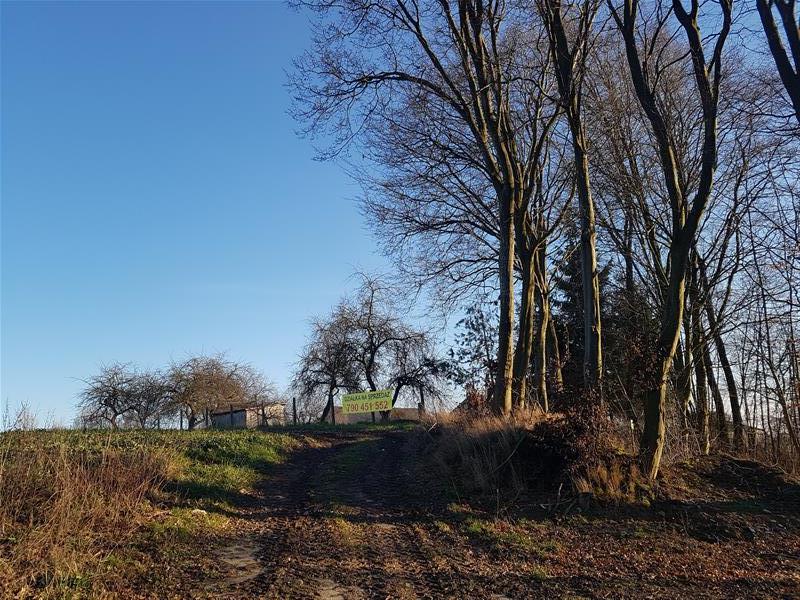 100 0 10816275 2 61 - Lista ofert
