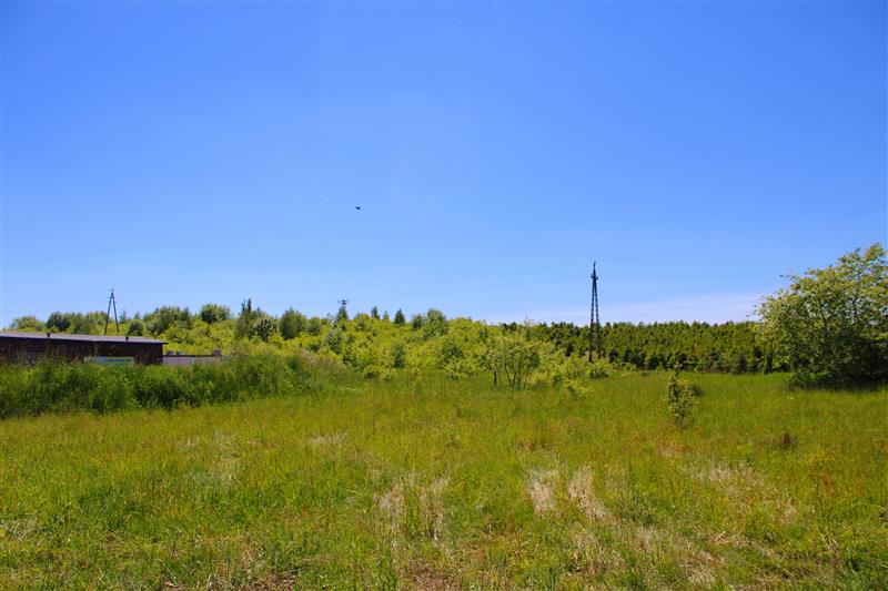 100 0 11429617 41 308 - Lista ofert