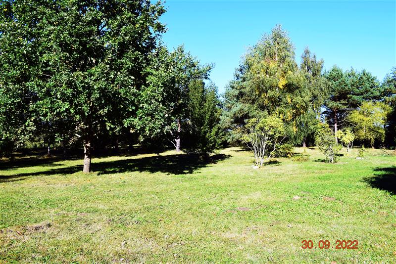 100 0 11840182 5 62 - Lista ofert