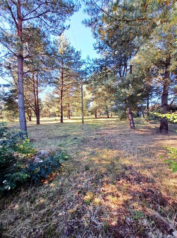 100 0 11840196 3 62 - Lista ofert