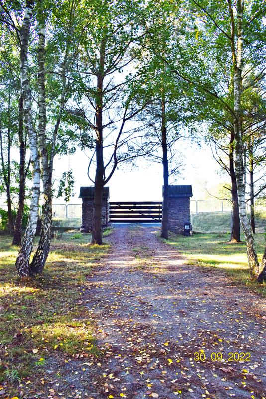 100 0 11840214 3 62 - Lista ofert