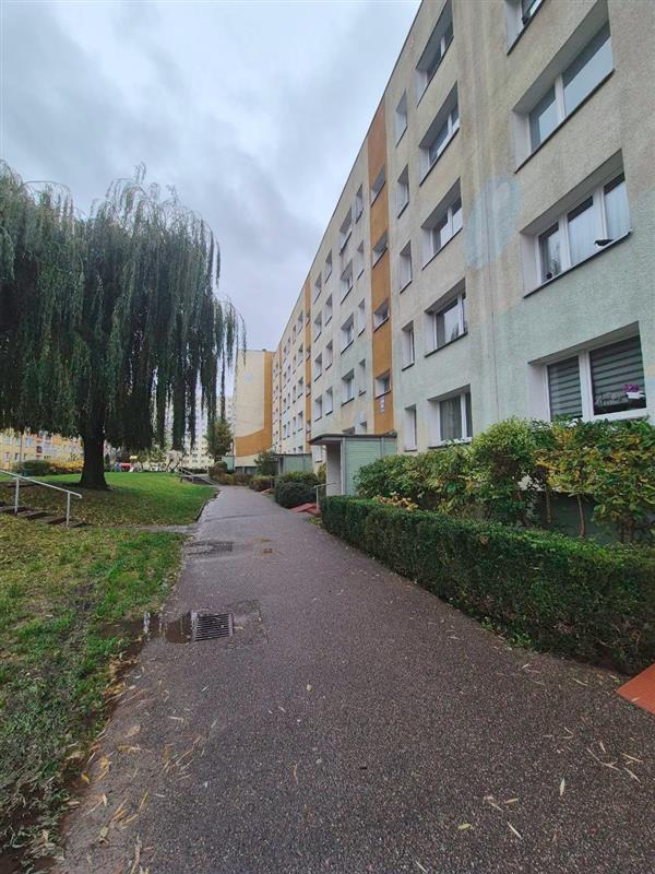 100 0 12335708 0 35 - Lista ofert