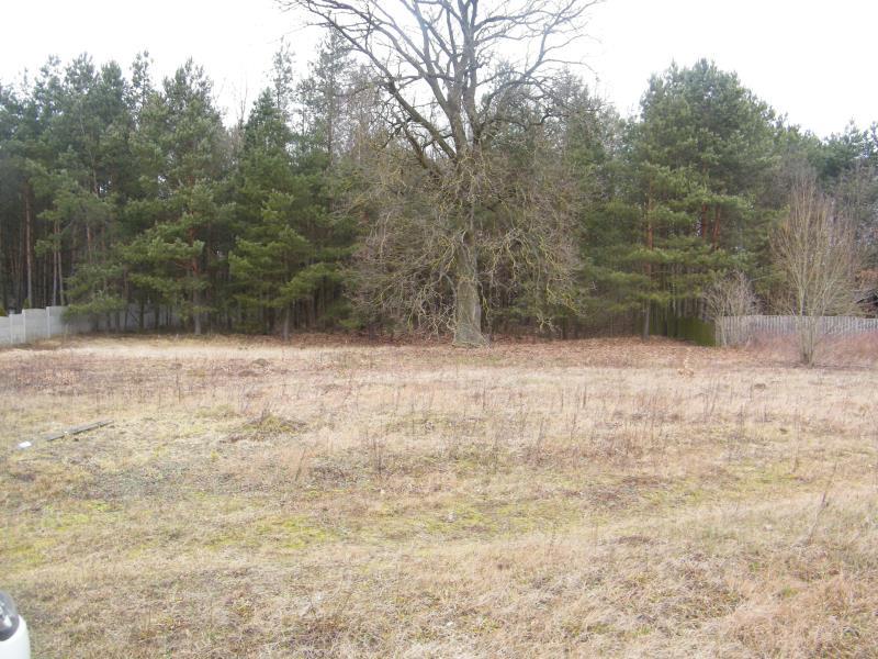 100 0 12438717 6 45 - Lista ofert