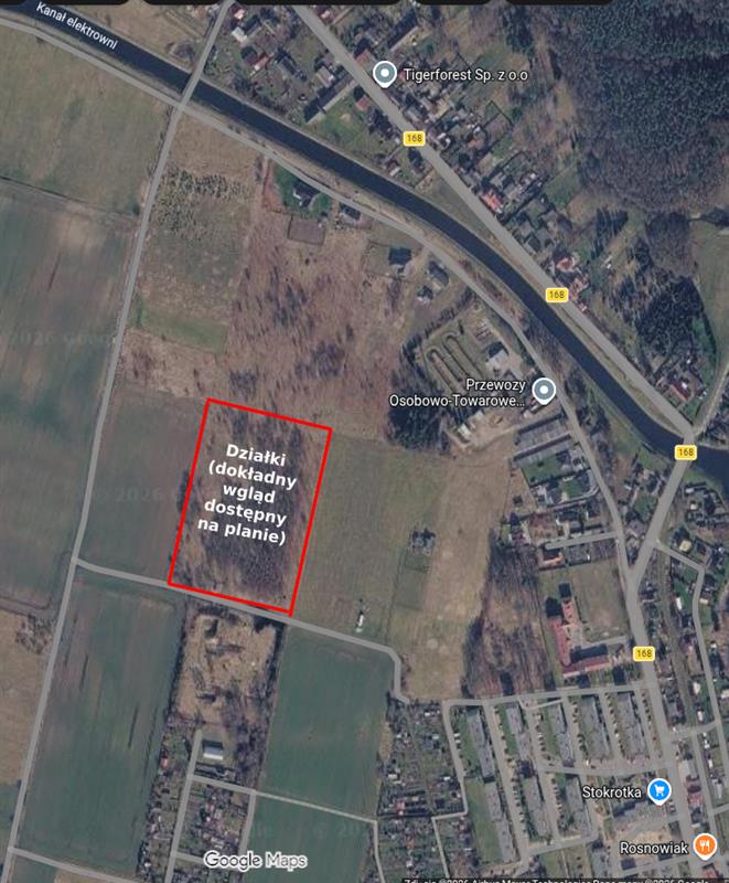 100 0 12481538 1 8 - Strona gł&oacute;wna