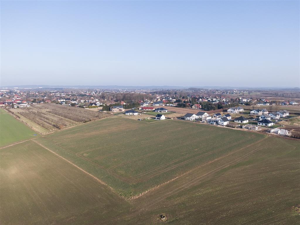 210 0 12155156 8 58 - Lista ofert