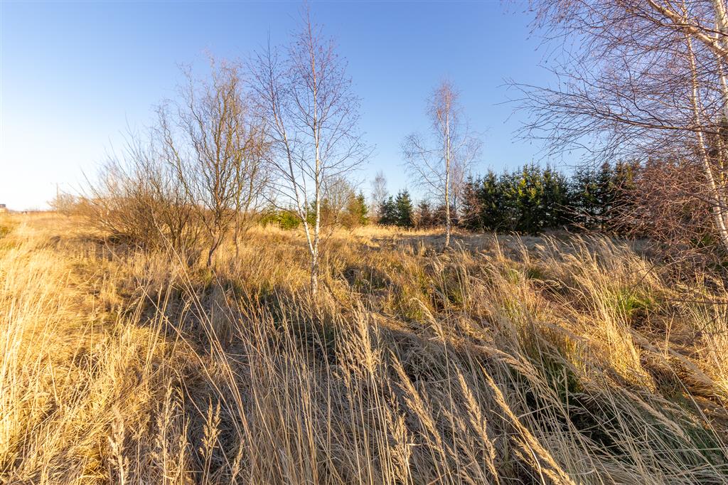 210 0 12190865 4 158 - Lista ofert