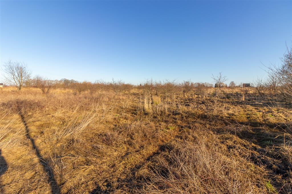 210 0 12190892 4 180 - Lista ofert