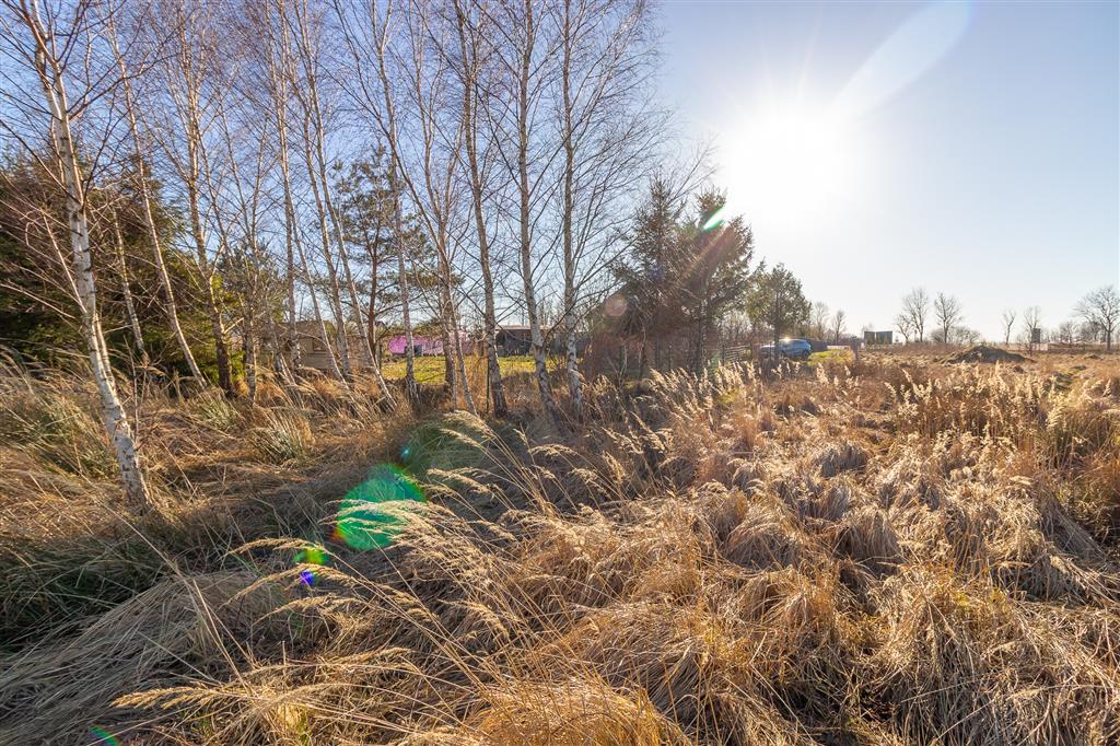 210 0 12190929 10 205 - Lista ofert