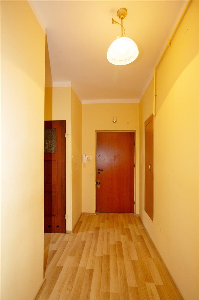 210 0 12228230 7 181 - Lista ofert