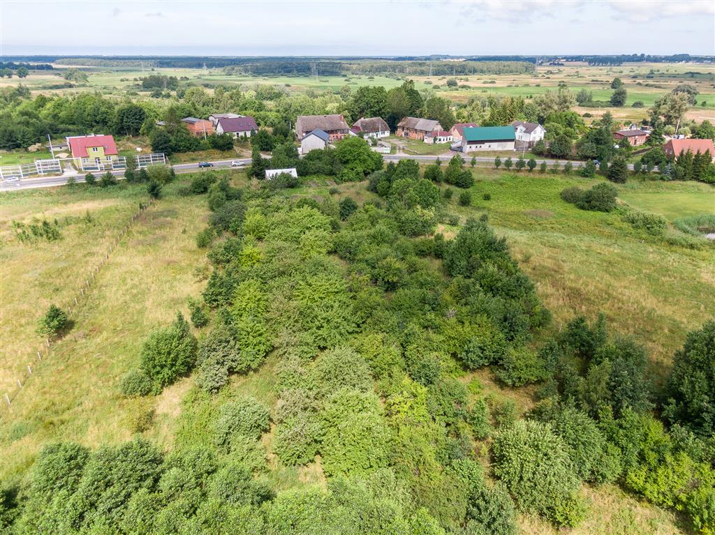 210 0 12279342 5 56 - Lista ofert