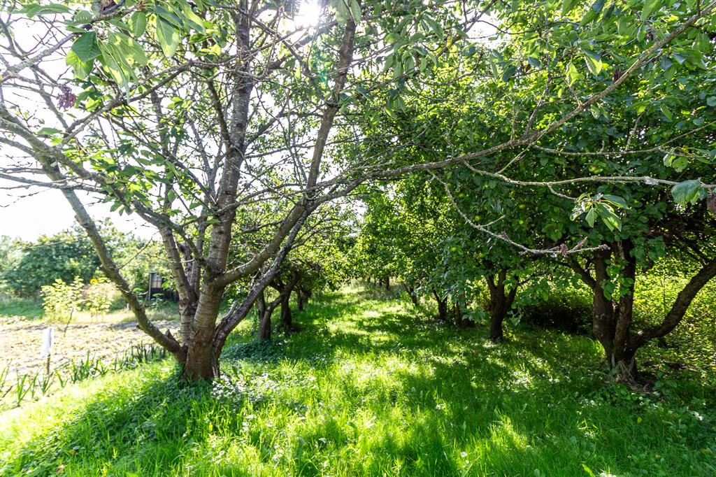 210 0 12281997 3 56 - Lista ofert