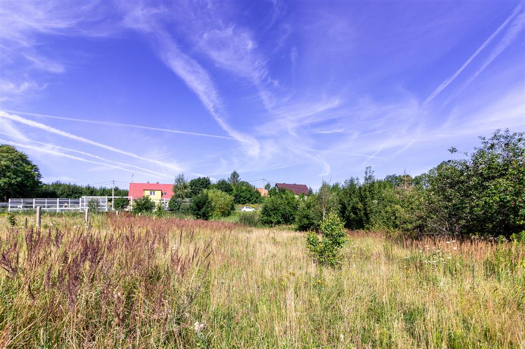 210 0 12281998 2 56 - Lista ofert