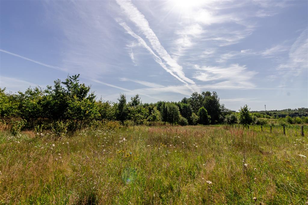 210 0 12281999 1 56 - Lista ofert