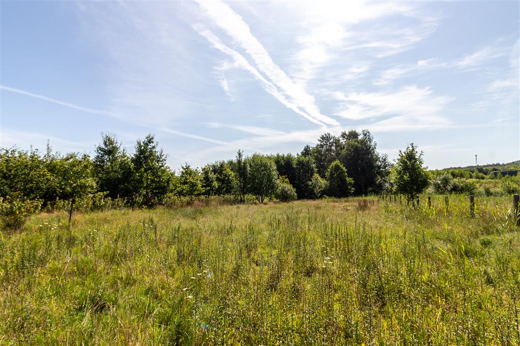 210 0 12282000 1 56 - Lista ofert