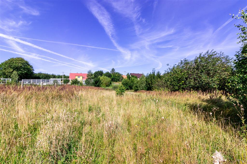 210 0 12282001 1 56 - Lista ofert