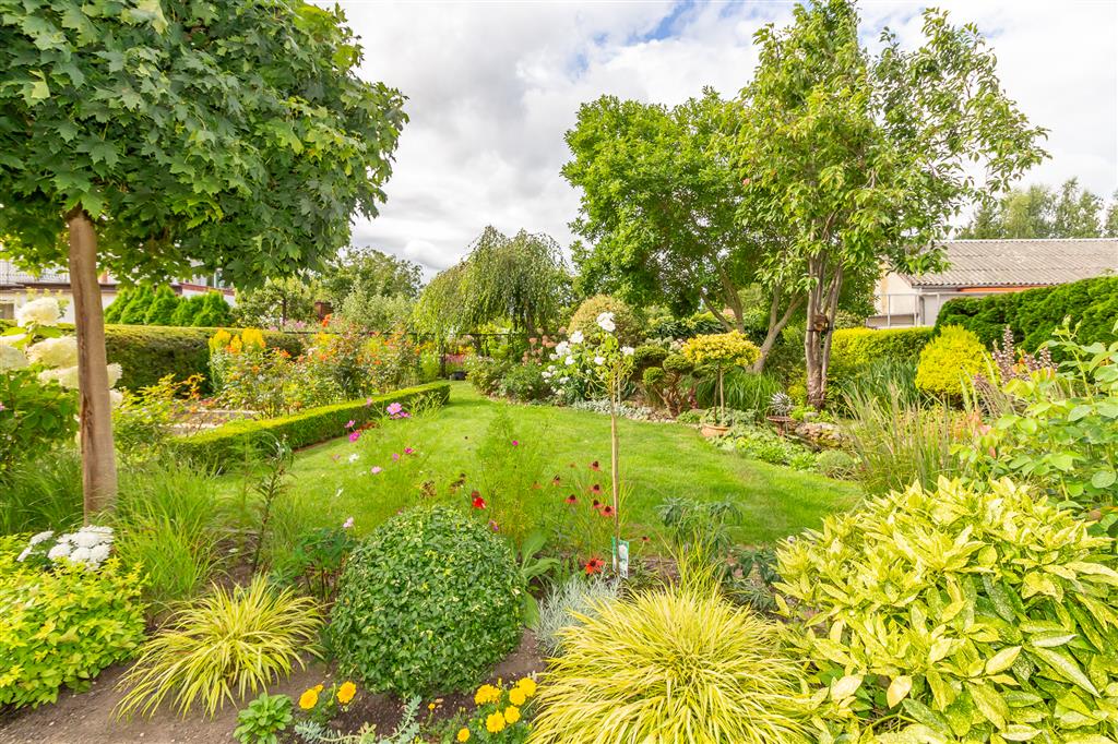 210 0 12292369 8 362 - Lista ofert