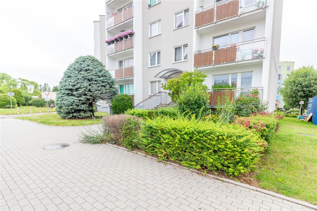 210 0 12305185 3 78 - Lista ofert