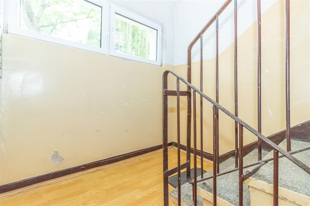 210 0 12317229 3 195 - Lista ofert