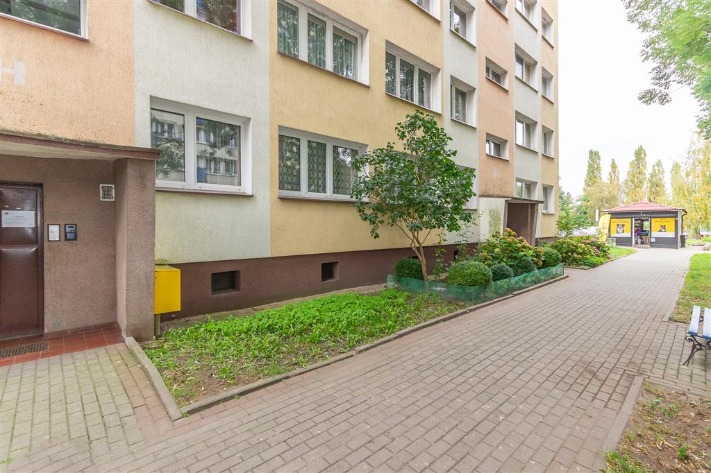 210 0 12317230 3 195 - Lista ofert