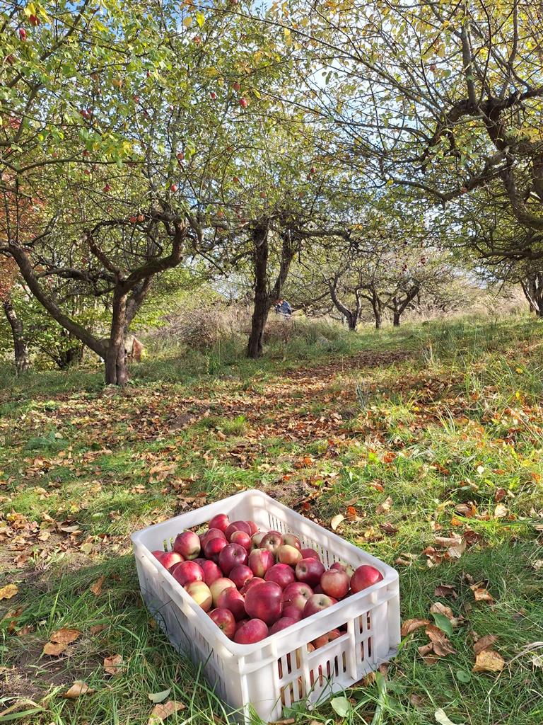 210 0 12319797 6 56 - Lista ofert