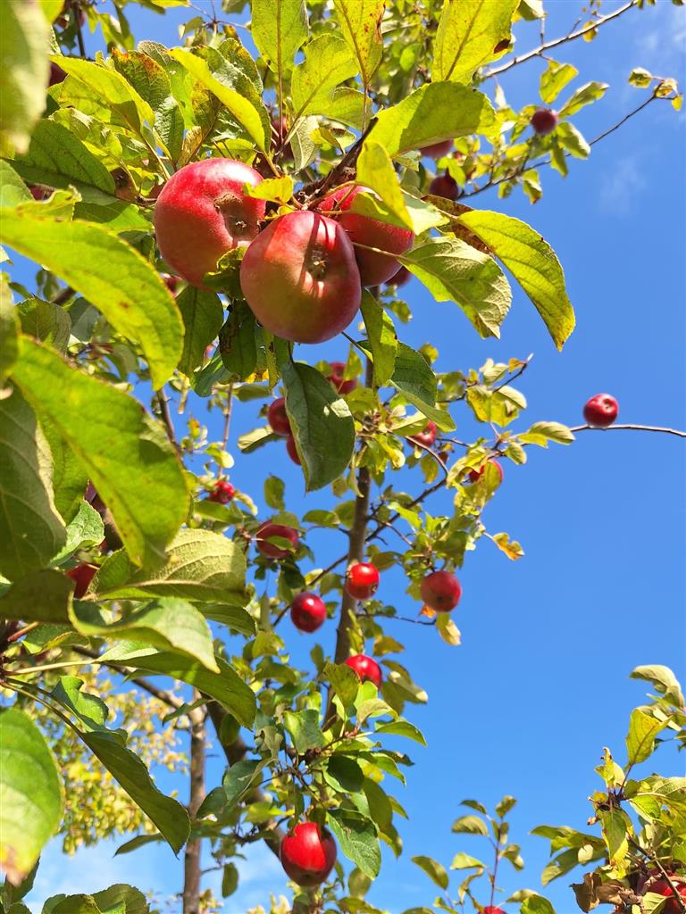 210 0 12319798 4 56 - Lista ofert