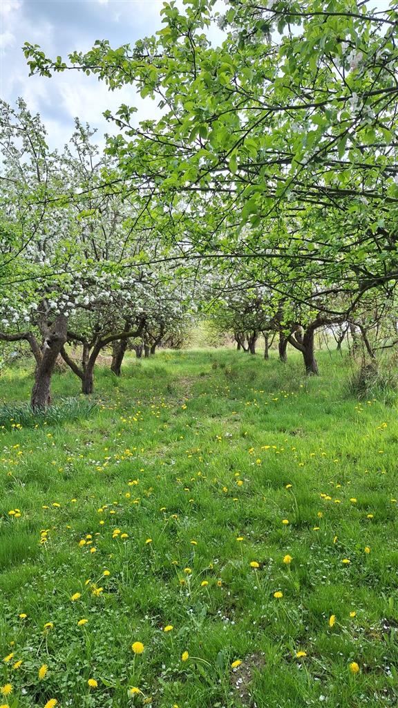 210 0 12319799 1 56 - Lista ofert