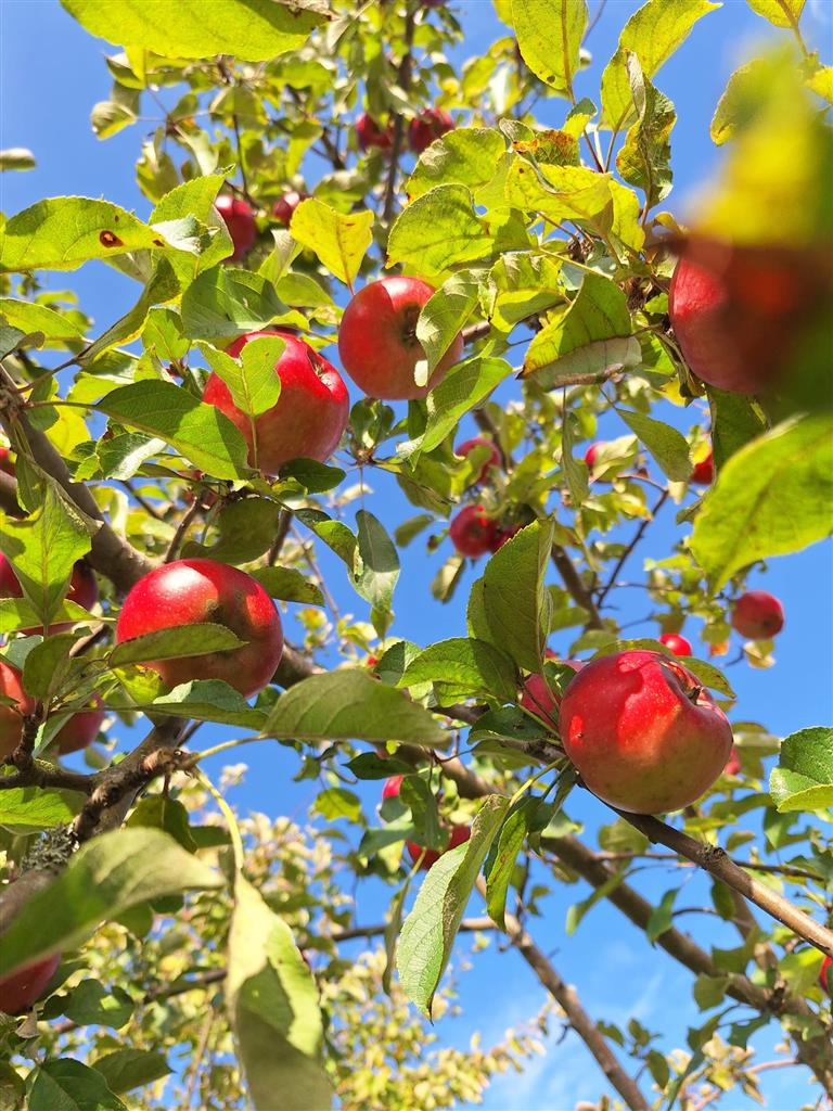 210 0 12319800 3 56 - Lista ofert