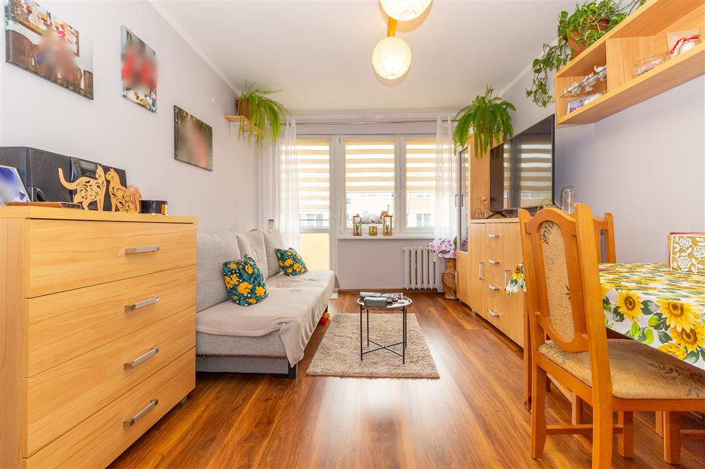 210 0 12331204 2 231 - Lista ofert