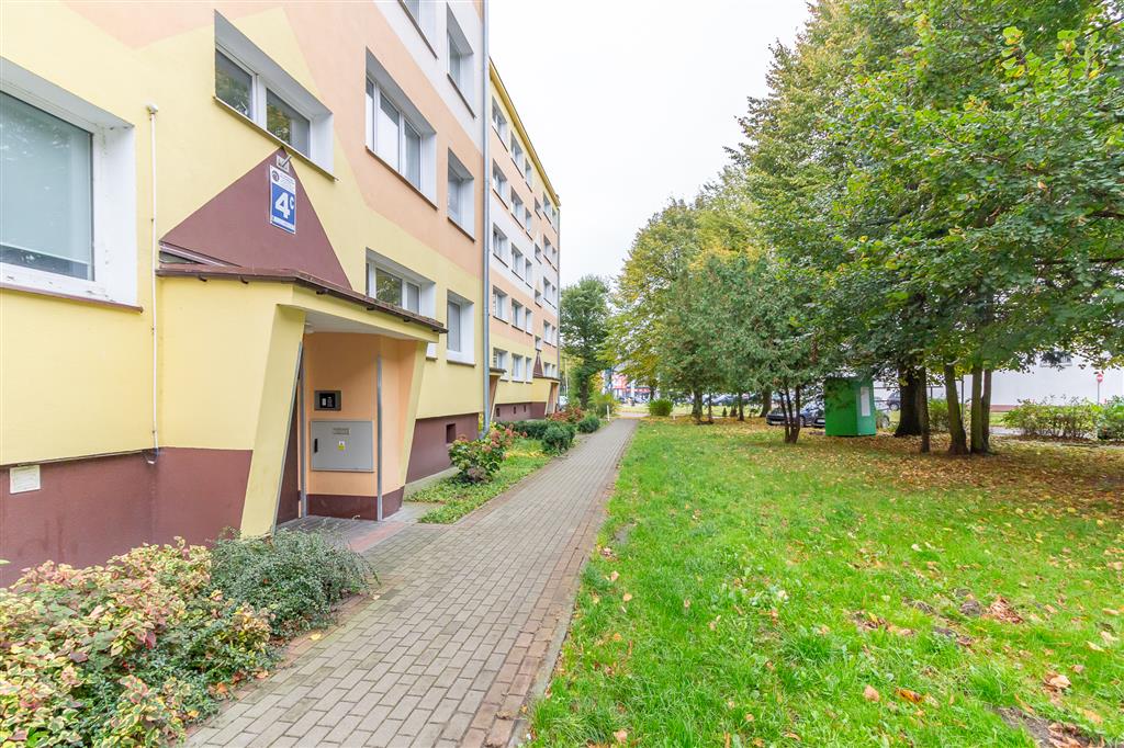 210 0 12331214 0 227 - Lista ofert