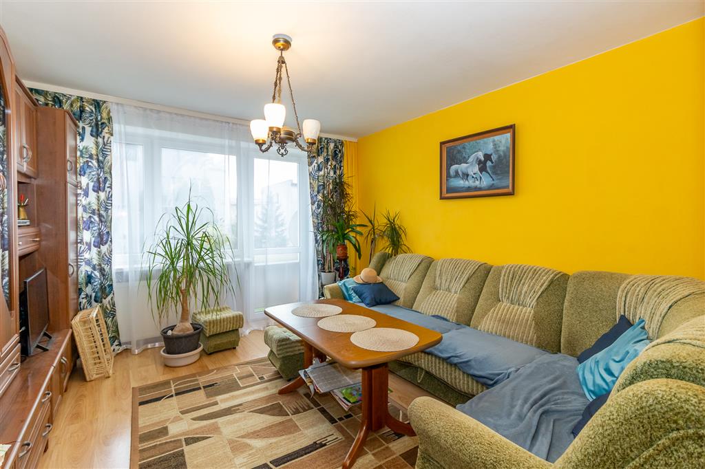 210 0 12343144 0 355 - Lista ofert