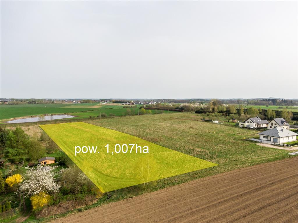 210 0 12362128 1 35 - Strona główna