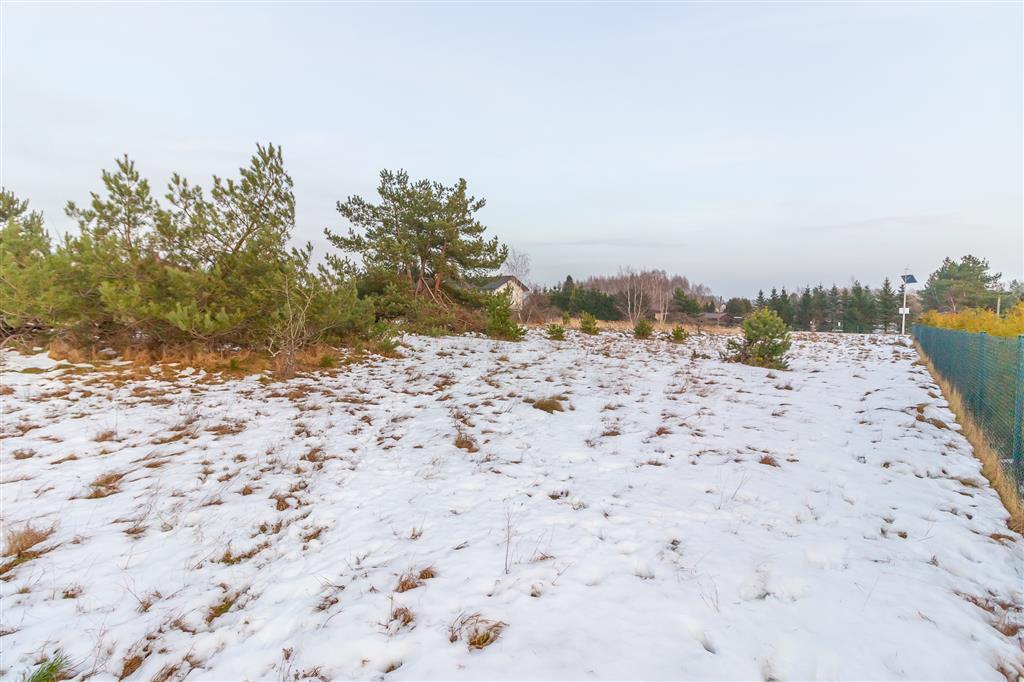 210 0 12380047 0 100 - Lista ofert