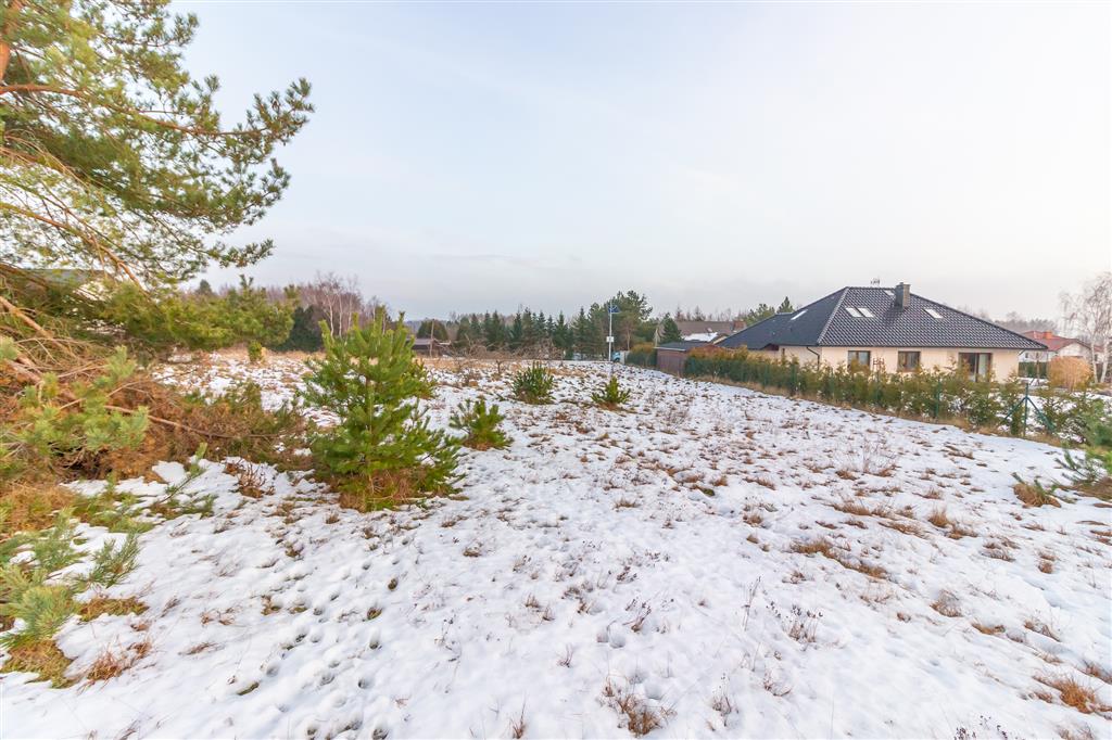 210 0 12380048 0 100 - Lista ofert