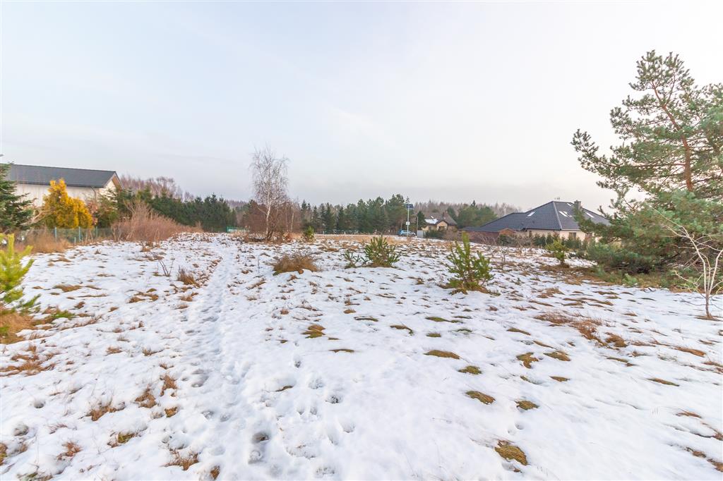 210 0 12380049 0 100 - Lista ofert