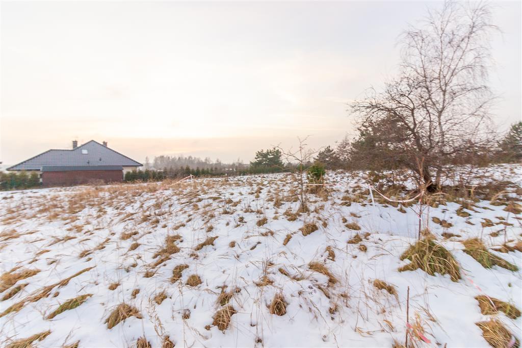 210 0 12380051 0 100 - Lista ofert